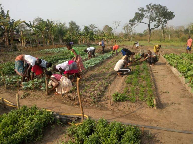 Schüler:innen bei der Gartenarbeit auf der Farm GAVISA
