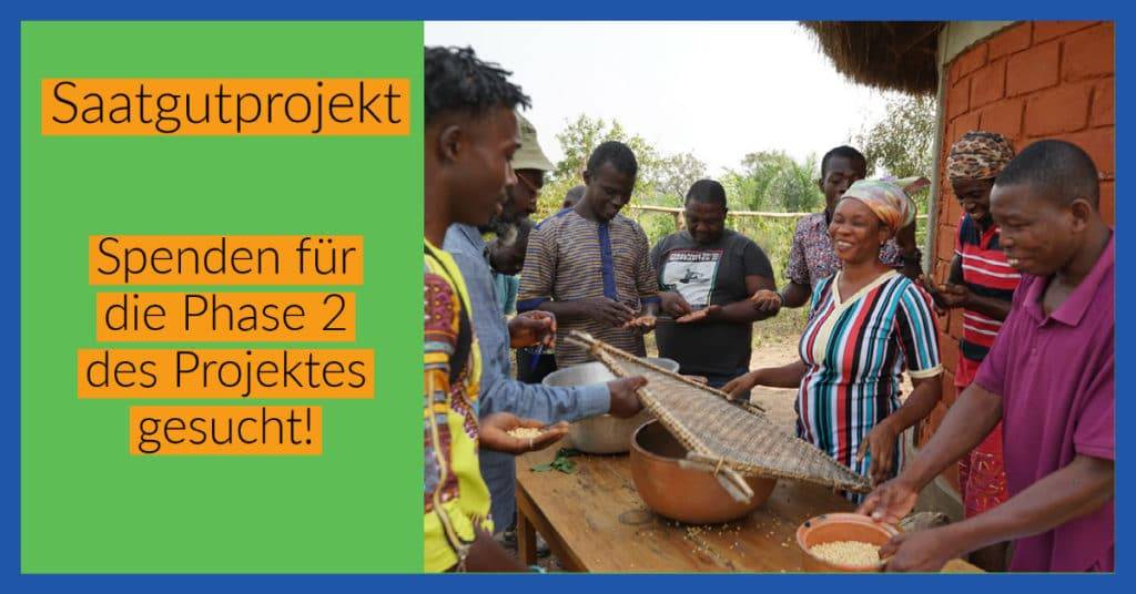 Ernte von samenfestem Saatgut